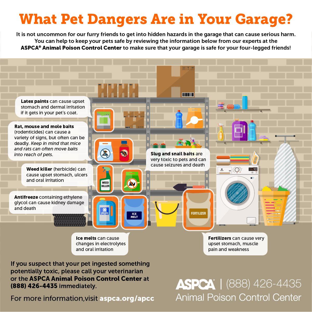 ASPCA pet dangers in garage infographic