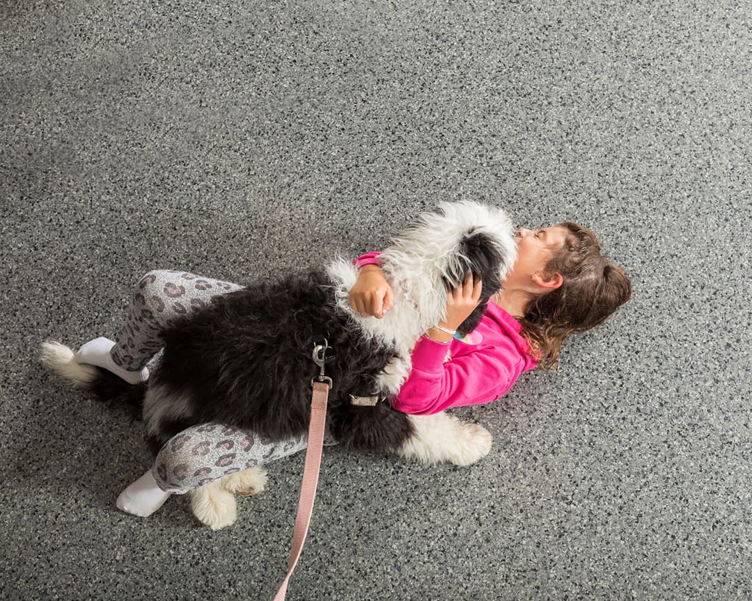 dog and child playing on clean garage floor