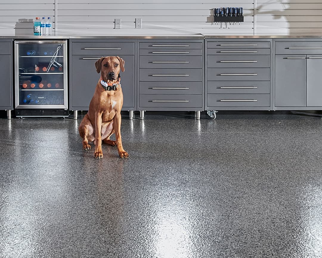 dog-sitting-garage-floor